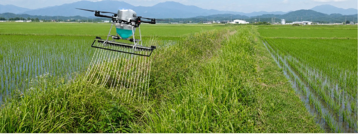 水田の畦畔に除草剤を塗布する専用ドローン